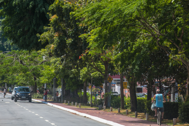 Avenida Marechal Mallet Turismo Praia Grande